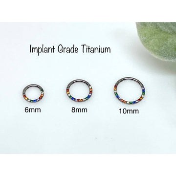 Implant Grade Segment Ring - G23 Titanium Nose Ring